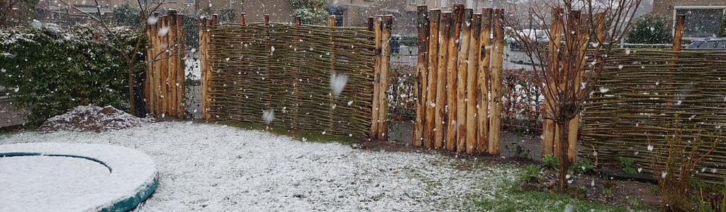 Wilgentenen voor natuurlijke schutting border erfscheiding, Tuin en Terras, Schuttingen, Gerard Krale, Nieuw, Ophalen of Verzenden