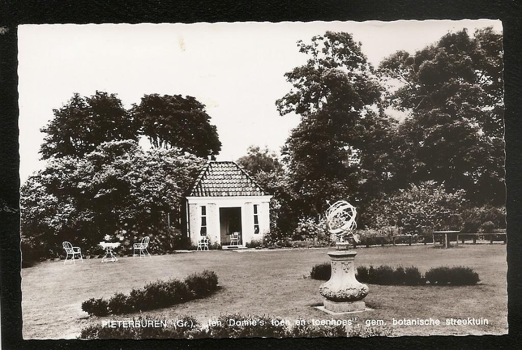 Pieterburen, Ien Domie’s, Botanische Streektuin , Verzamelen, Ansichtkaarten | Nederland, Ophalen of Verzenden, 1960 tot 1980
