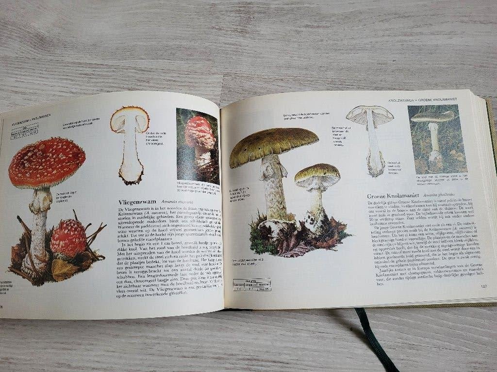 Paddestoelen van West- en Midden- Europa, Boeken, Verzenden, Gelezen, Bloemen, Planten en Bomen