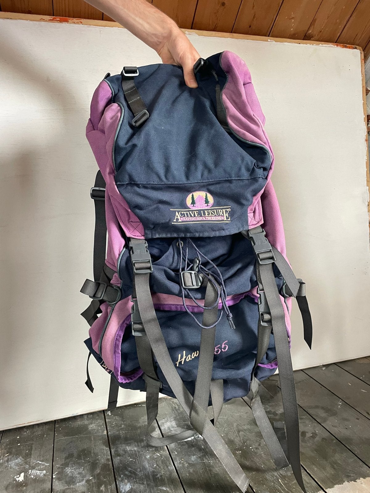 Active Leisure Hawk 55 Trekking Rugzak / Backpack, Overige merken, Gebruikt, 25 tot 40 cm, Ophalen of Verzenden
