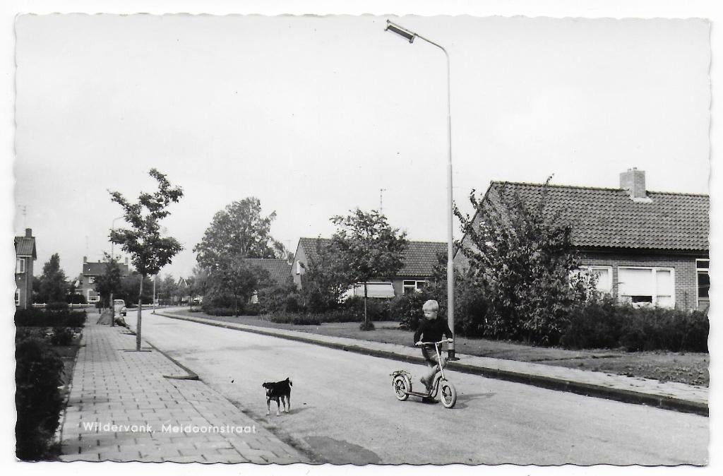 Wildervank Meidoornstraat Ongelopen  Ansichtkaart   (B8050 ), Ophalen of Verzenden, 1960 tot 1980, Ongelopen