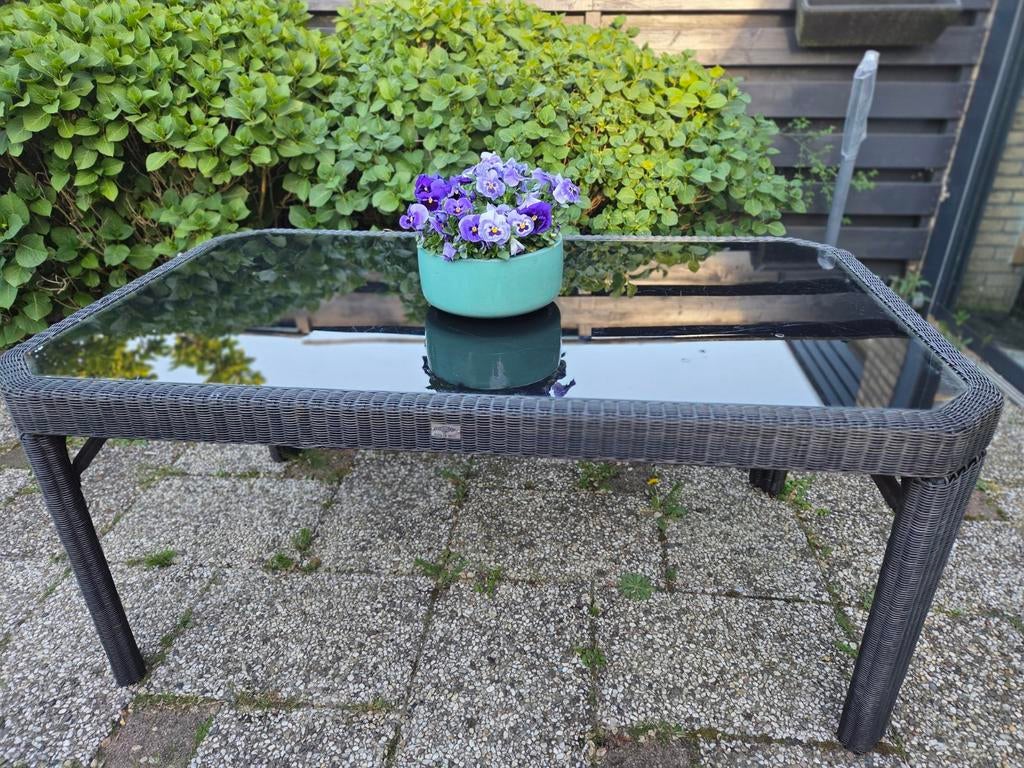 Bois Le Duc tuintafel antracietgrijs met glazen blad, Tuin en Terras, Tuintafels, Gebruikt, Rechthoekig, Overige materialen, Ophalen