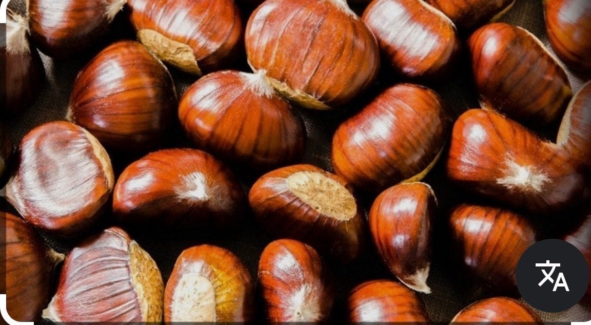 Gezocht: Verse Kastanjes - 2 euro per kilo, Diversen, Ophalen of Verzenden