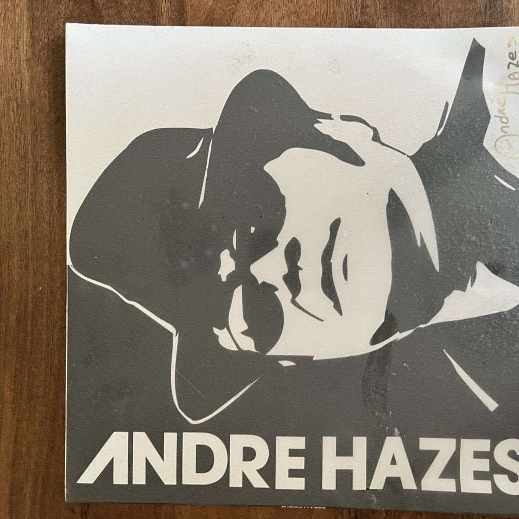 Nederlandse LP's - Hazes, Baker, Orkater (8), Cd's en Dvd's, LP, Gebruikt, Overige genres, Ophalen of Verzenden