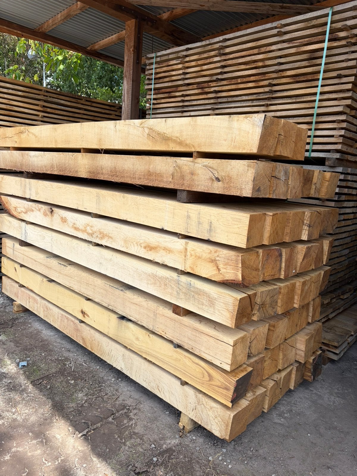Eiken balken 250 cm lang 15x15, Tuin en Terras, Ophalen, Nieuw, 250 cm of meer, Balken