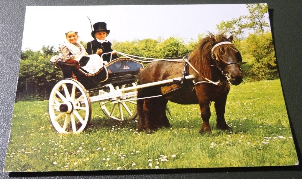 Paarden - Kinderen - Klederdracht - KHo01, Verzenden, 1980 tot heden, Gelopen, Paard