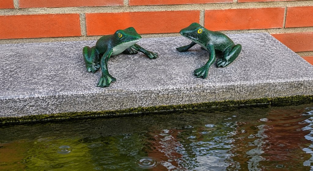2 KIKKERS / GIETIJZER / SETPRIJS, Tuin en Terras, Dierenbeeld, Nieuw, Metaal, Info@huisentuindecoratiemarie.nl