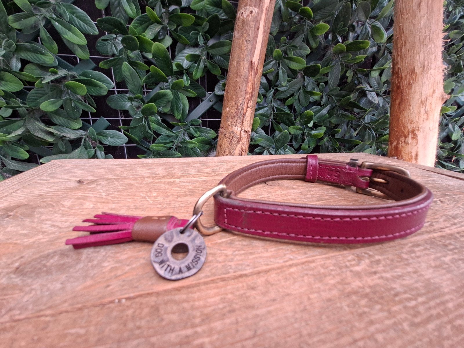 dog with a mission halsband. Dwam. s. hond., Ophalen of Verzenden, Gebruikt, Hondenriem
