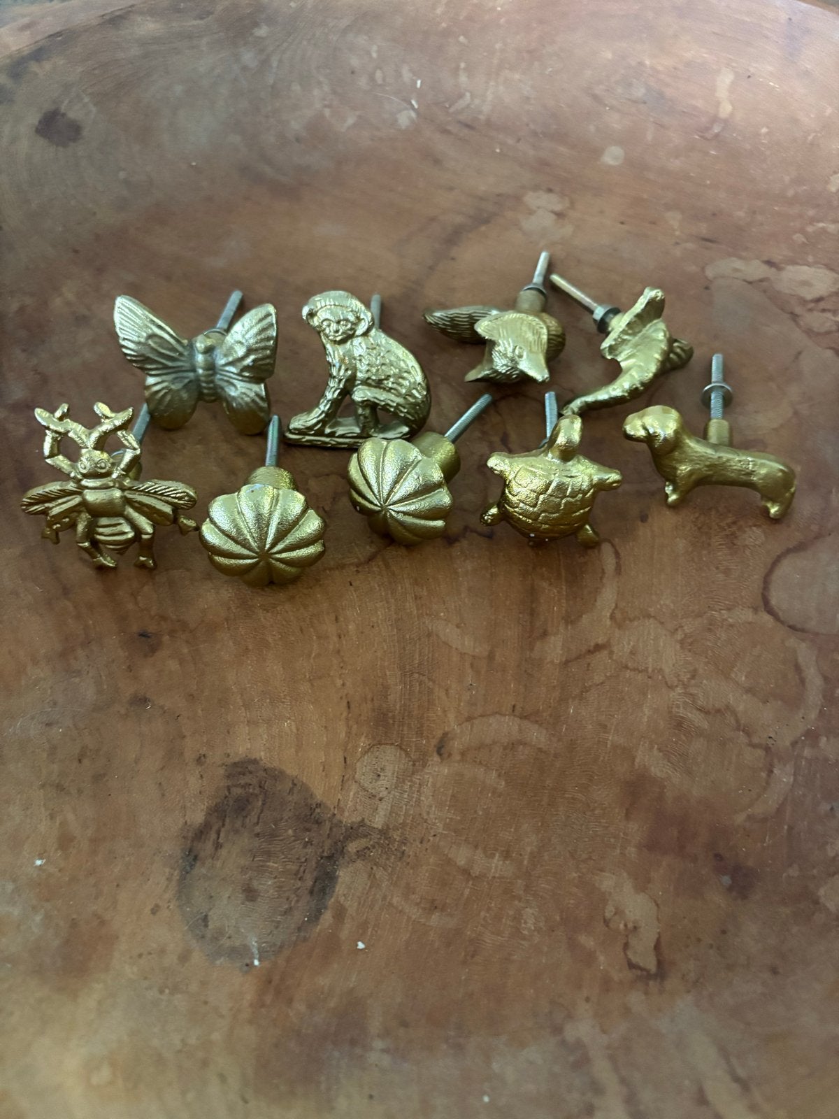 Gouden Deurknoppen/Ladeknoppen met Dieren en Insecten, Gebruikt, Koper of Messing, Ophalen of Verzenden, Ossenkamppad 25