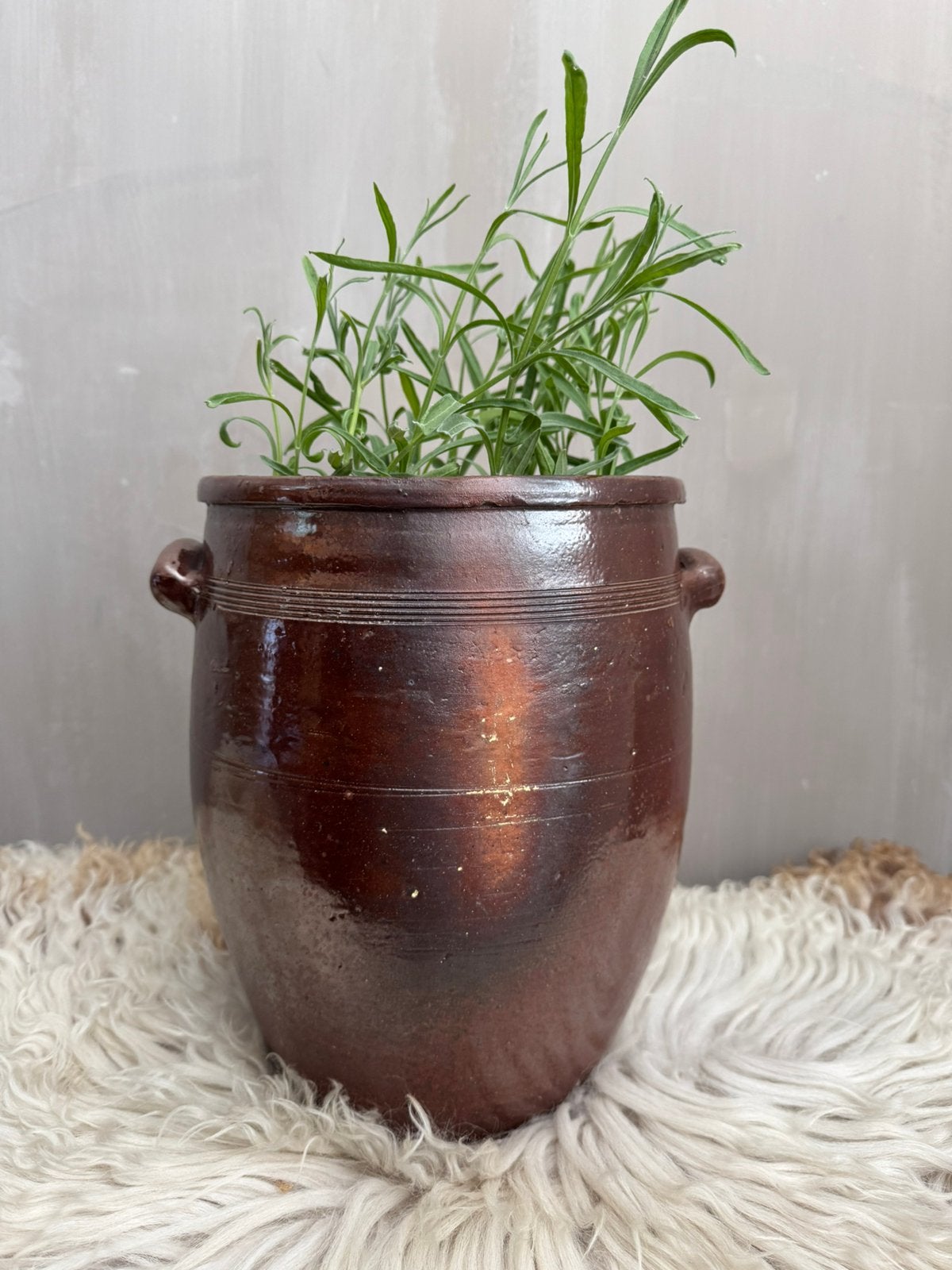 Keulse pot donkerbruin aardewerk, Ophalen