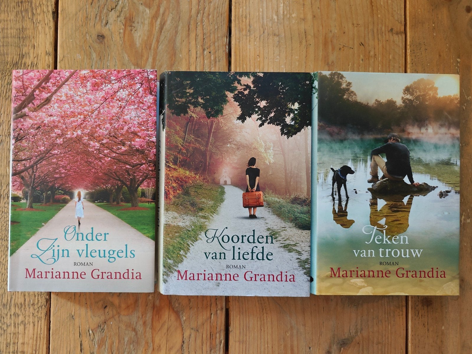 3 Boeken van Marianne Grandia. Hardcover., Boeken, Ophalen of Verzenden