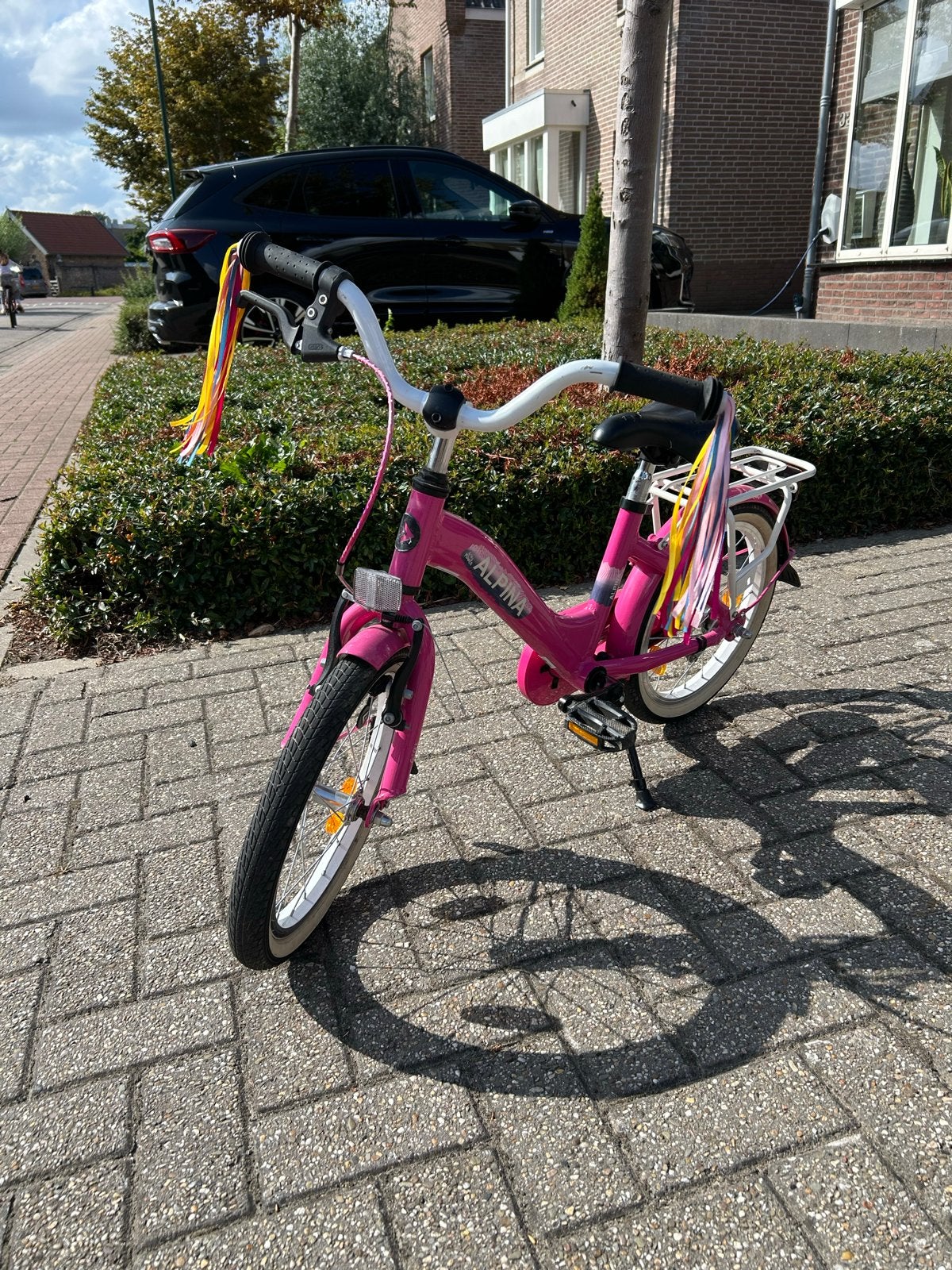 Alpina girlpower meisjes fiets roze 16 inch wielen, Ophalen, Gebruikt, Terugtraprem, 16 tot 20 inch