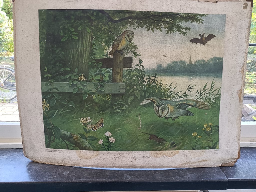 Schoolplaat: M.A. Koekoek, J.W. Boerma en K.M. Knip, Ophalen, Natuur en Biologie