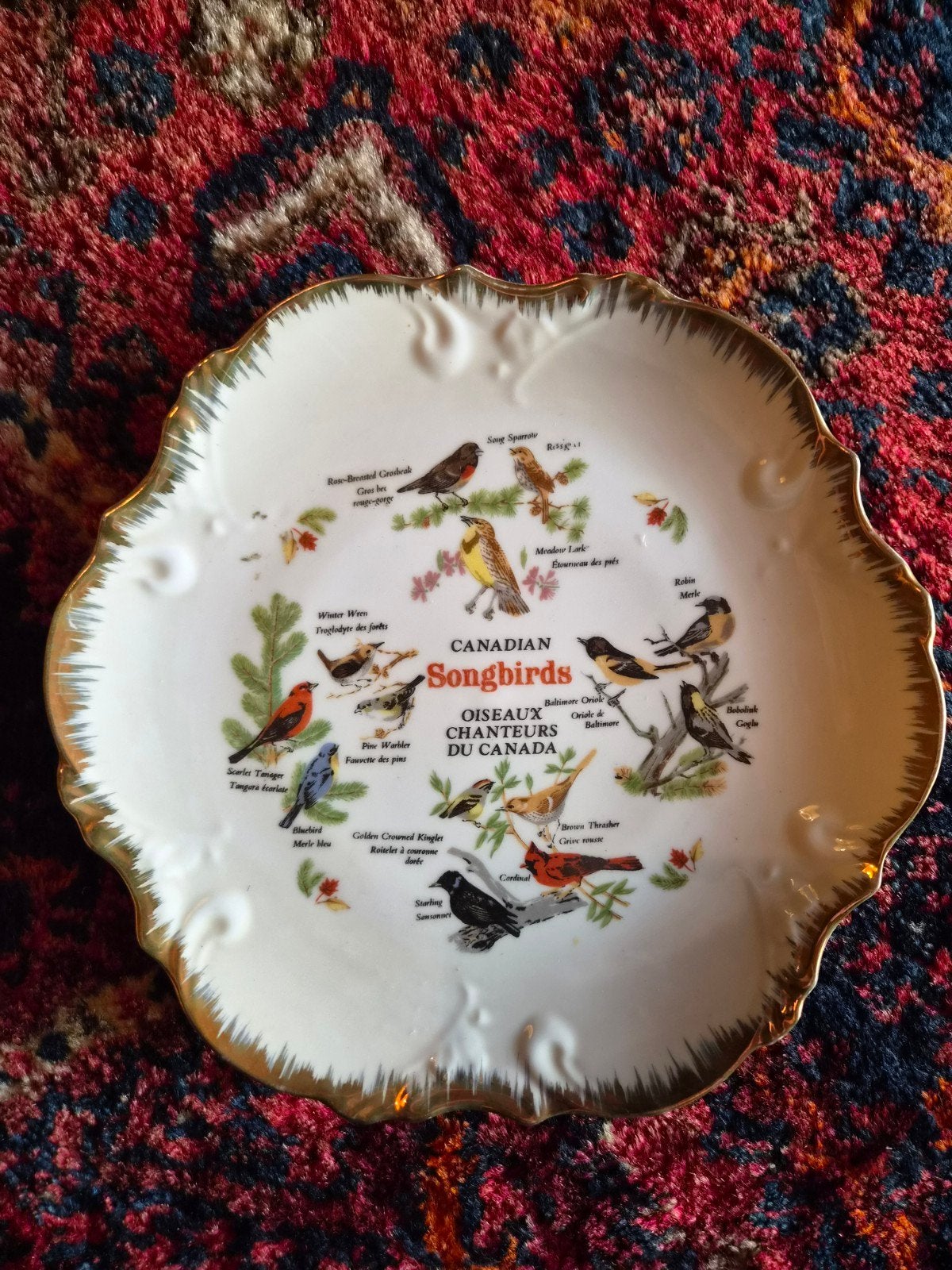 Decoratieve wandplaat Canadese zangvogels, Ophalen of Verzenden