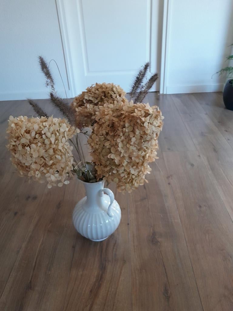 Boeket met gedroogde   hortensia., Ophalen