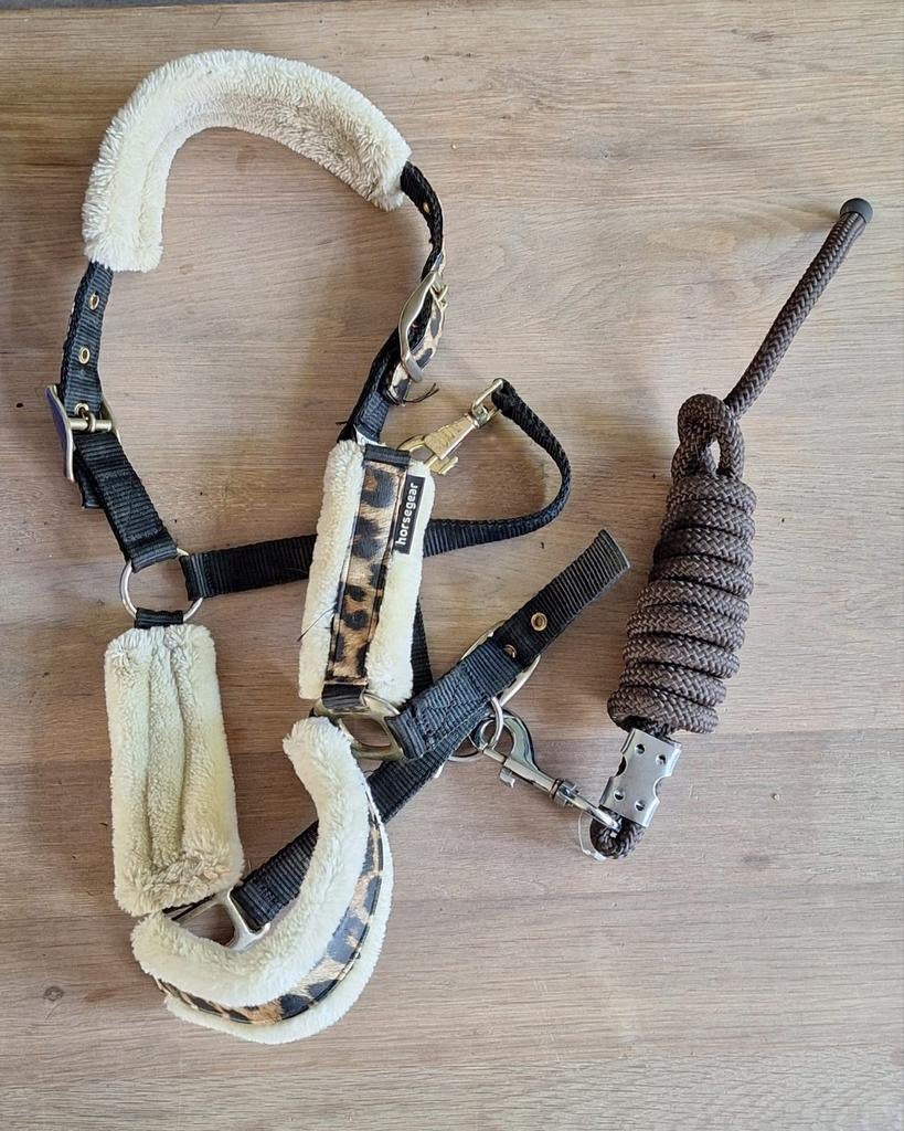 Panter halster, Pony (met touw), Ophalen of Verzenden