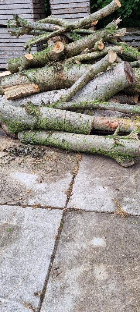Open haard hout Loppersum, Huis en Inrichting, Haarden, Ophalen, Nieuw, Vrijstaande haard, Houthaard