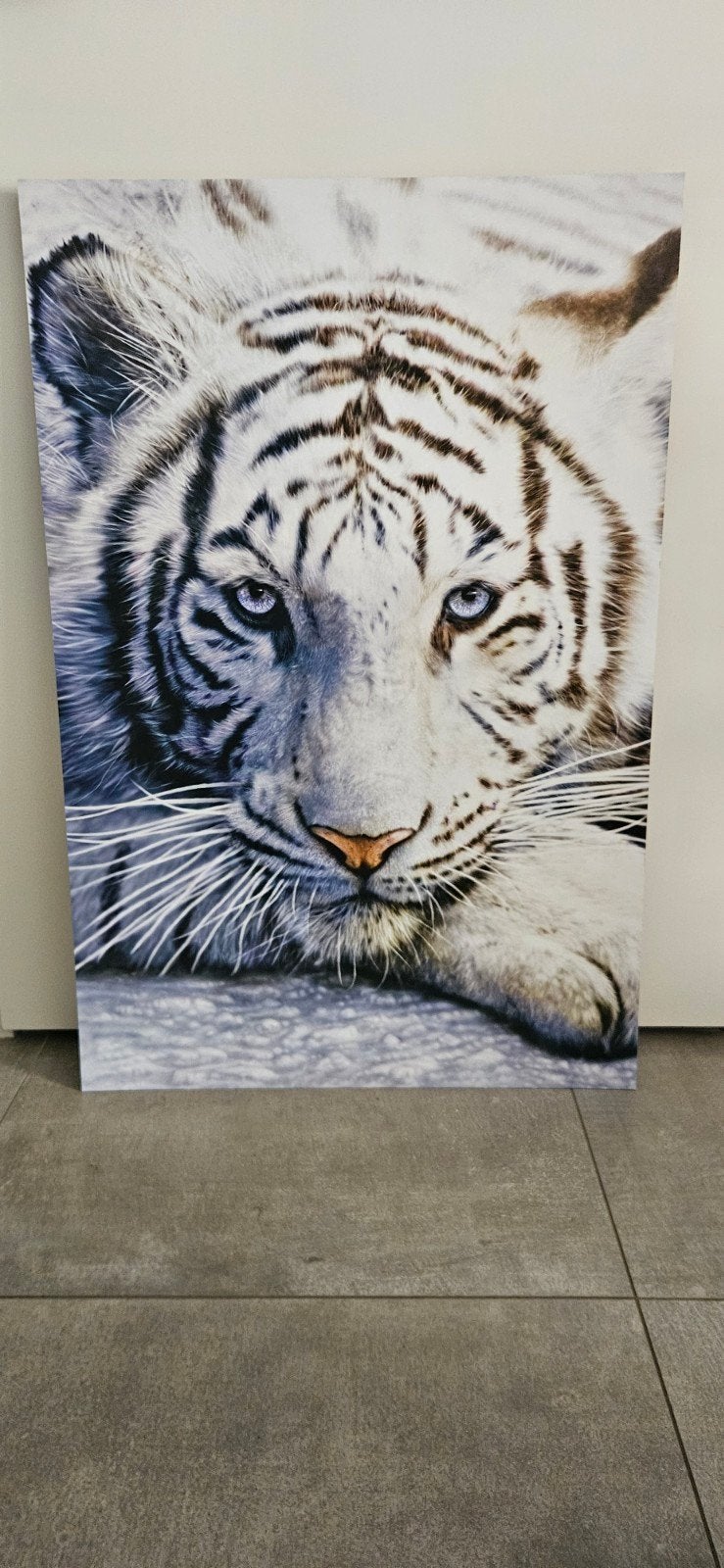 Prachtige Witte Tijger Schilderij - Zo goed als nieuw, Huis en Inrichting, Woonaccessoires | Schilderijen, Tekeningen en Foto's