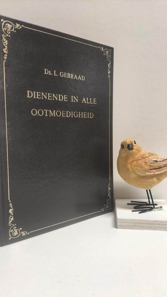 Gebraad, Ds. L.; Dienende in alle ootmoedigheid, Boeken, Godsdienst en Theologie, Ophalen of Verzenden, Gelezen, Christendom | Protestants