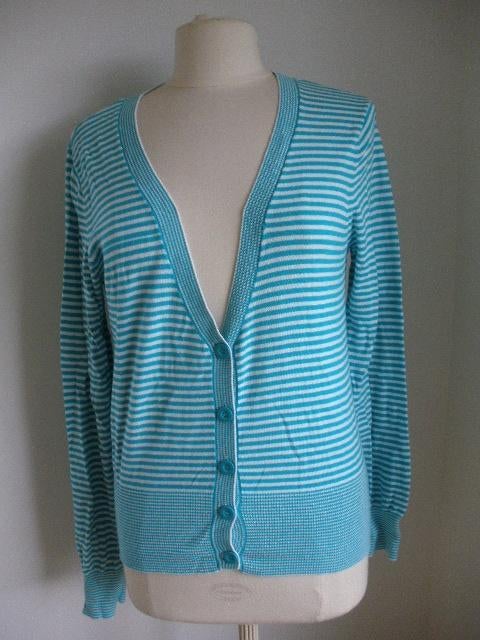 Vest blauw wit streep maat M, Kleding | Dames, Truien en Vesten, Ophalen of Verzenden, Zo goed als nieuw, Maat 38/40 (M), Blauw