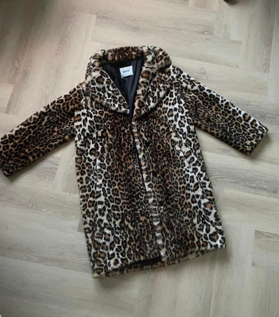 Stand studio jas leopard print!, Ophalen of Verzenden