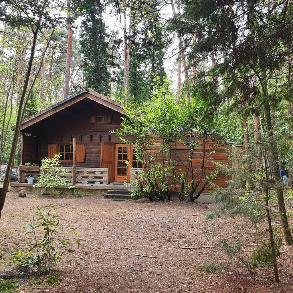 Even lekker off-grid: rust, sauna, bos: Belgische Kempen!, Vakantie, Vakantiehuizen | België, In bos, Antwerpen of Vlaanderen