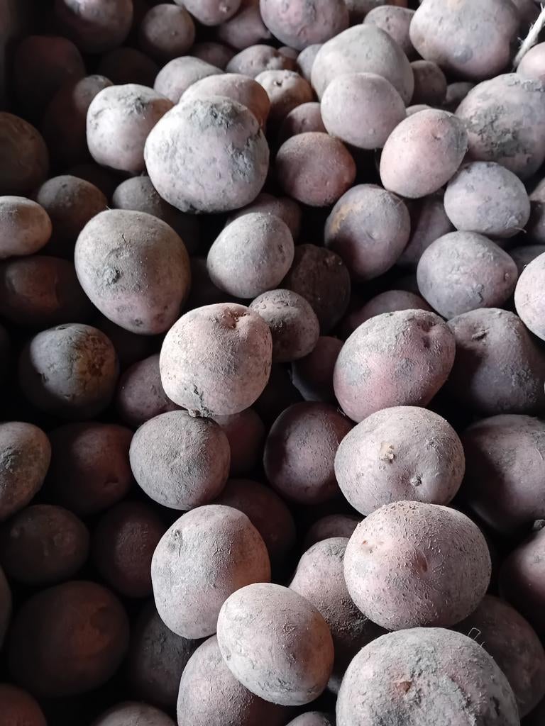 Te koop bilstar aardappelen, Diversen, Levensmiddelen, Ophalen