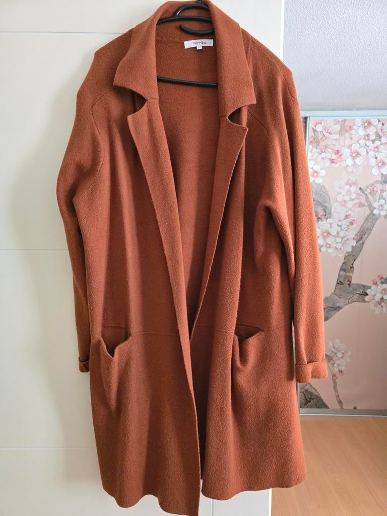 Paprika vest, prachtig roest bruin, maat 46 zeer goede staat, Ophalen of Verzenden, Zo goed als nieuw, Bruin