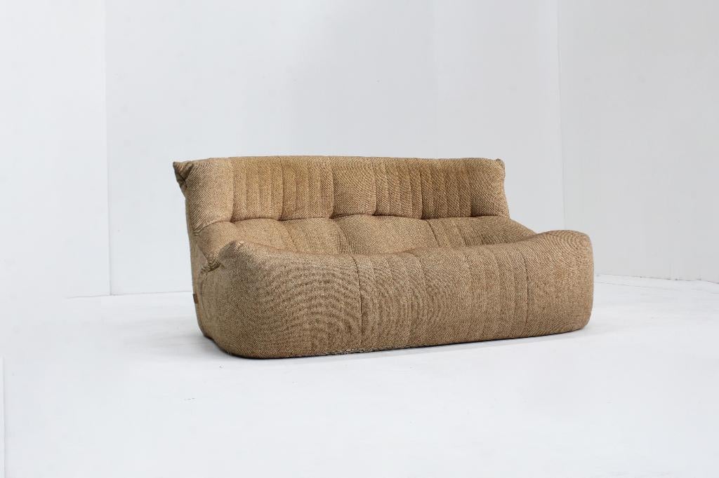 Vintage Aralia sofa Ligne Roset Michel Ducaroy, Huis en Inrichting, Ophalen, 150 tot 200 cm, Tweepersoons, 75 tot 100 cm