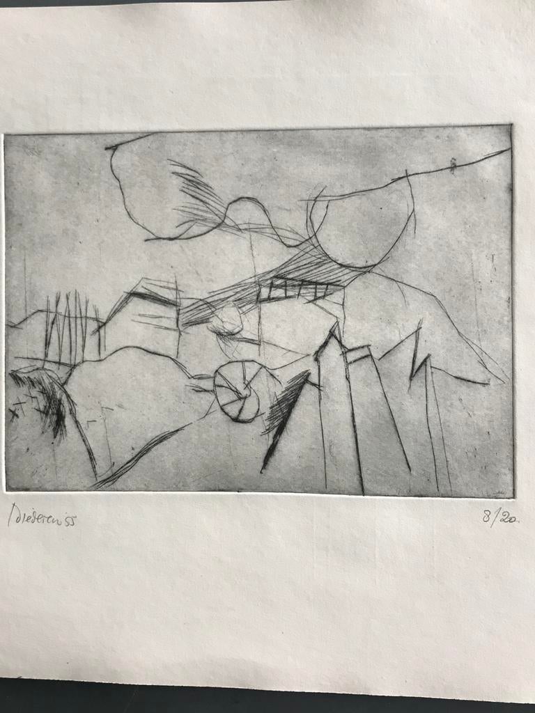 Jef Diederen, ets doorzichtig landschap, Antiek en Kunst, Ophalen of Verzenden