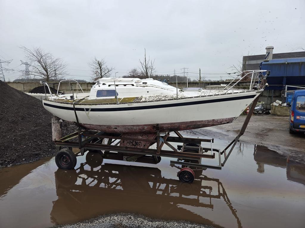 Zeil boot 6 meter met bok, Watersport en Boten, Ophalen of Verzenden, Zo goed als nieuw, Minder dan 70 pk, Buitenboordmotor