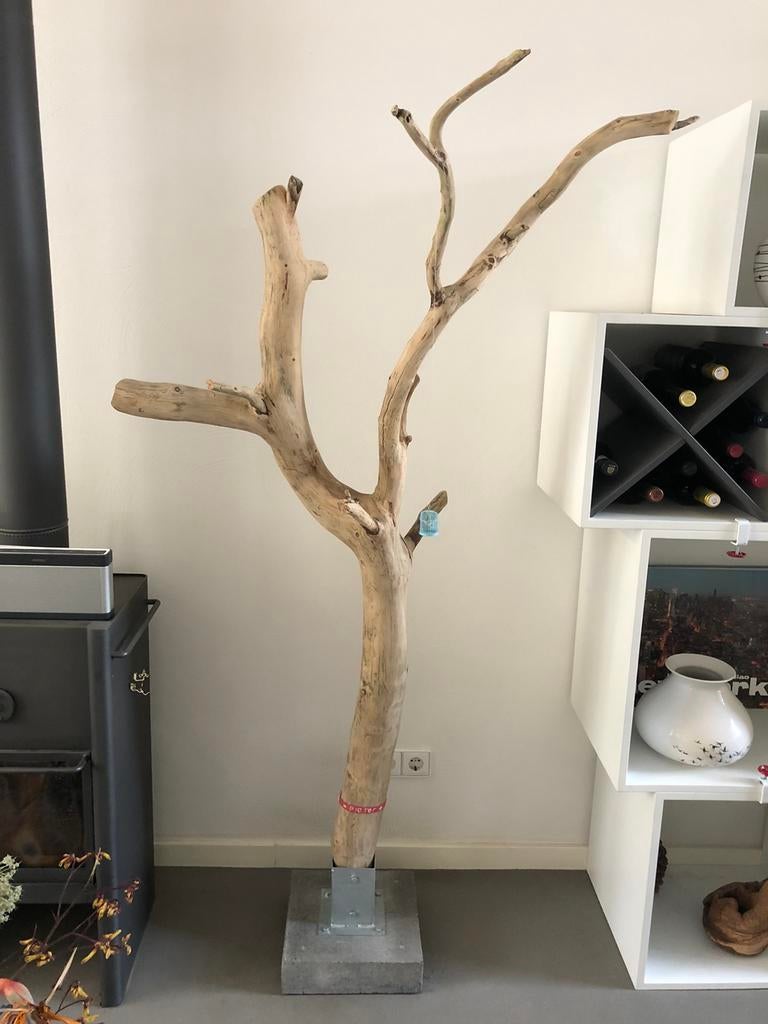 Behandelde decoratie boomtak, boomstam, krabpaal, lamp, tak, Ophalen, Zo goed als nieuw, Hout, Overige stijlen