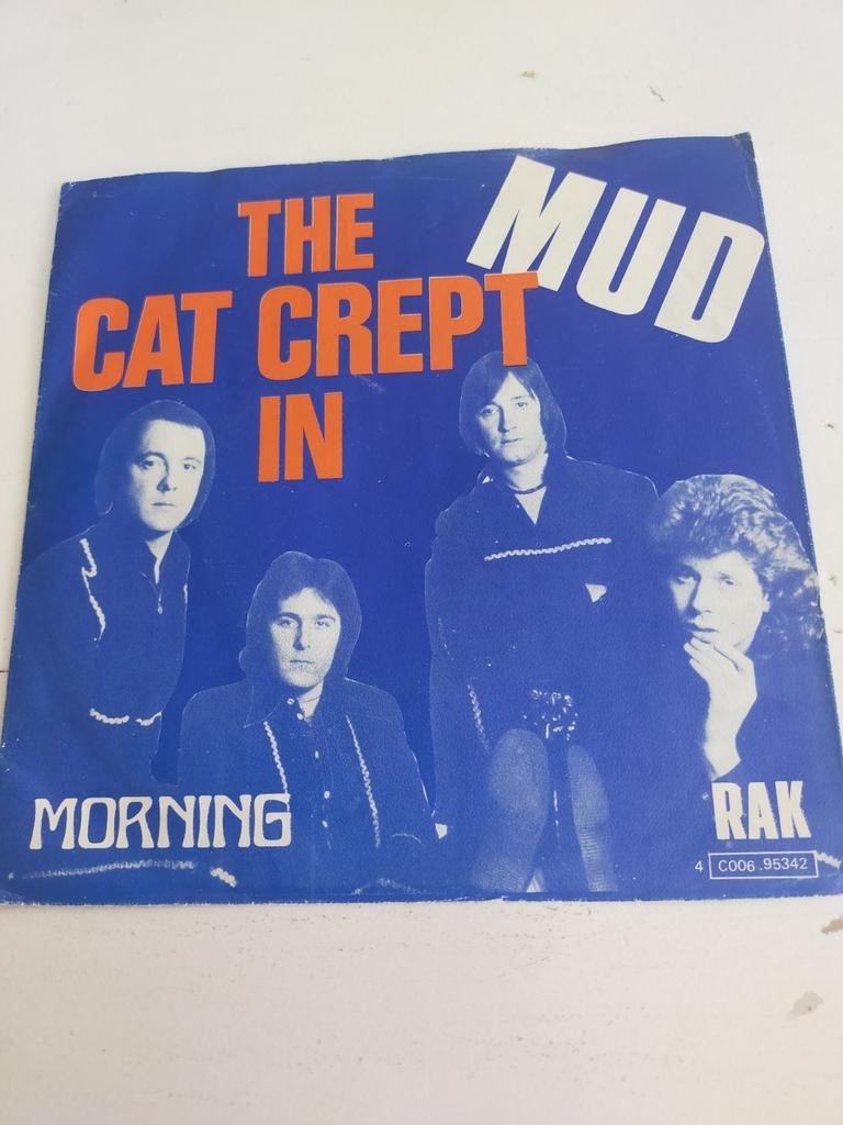 Mud , the cat crept in, Cd's en Dvd's, Vinyl Singles, Ophalen of Verzenden, Zo goed als nieuw, Pop