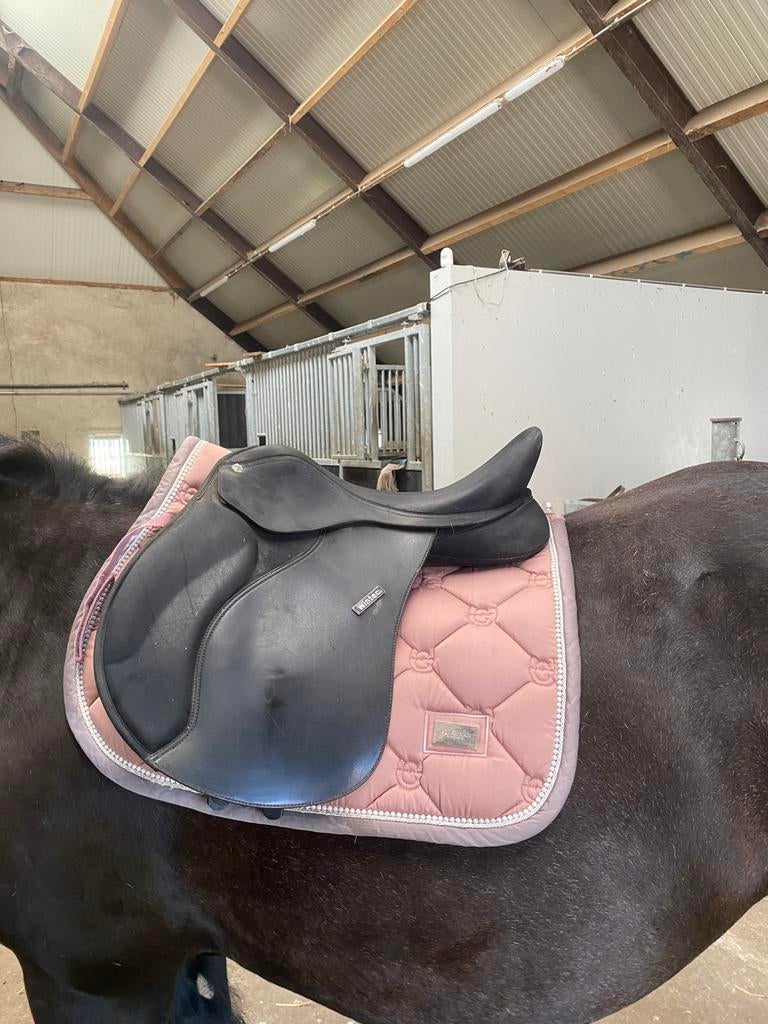 Wintec zadel 17,5 inch, Dieren en Toebehoren, Paarden en Pony's | Zadels, Ophalen, Gebruikt, Overige soorten