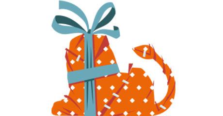 ING Punten ofwel Rentepunten, Tickets en Kaartjes, Eén persoon, Overige soorten