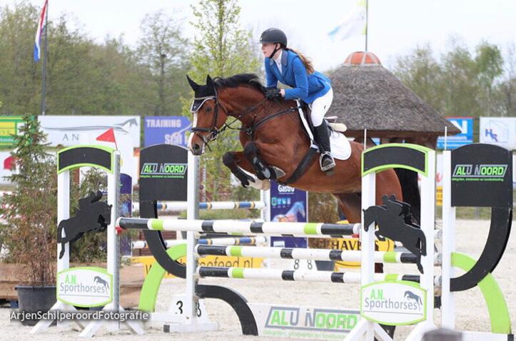 Amazone voor trainen, beleren, corrigeren (ZZP) + stal vrij, Diensten en Vakmensen, Dieren | Paarden | Verzorging, Oppas en Les