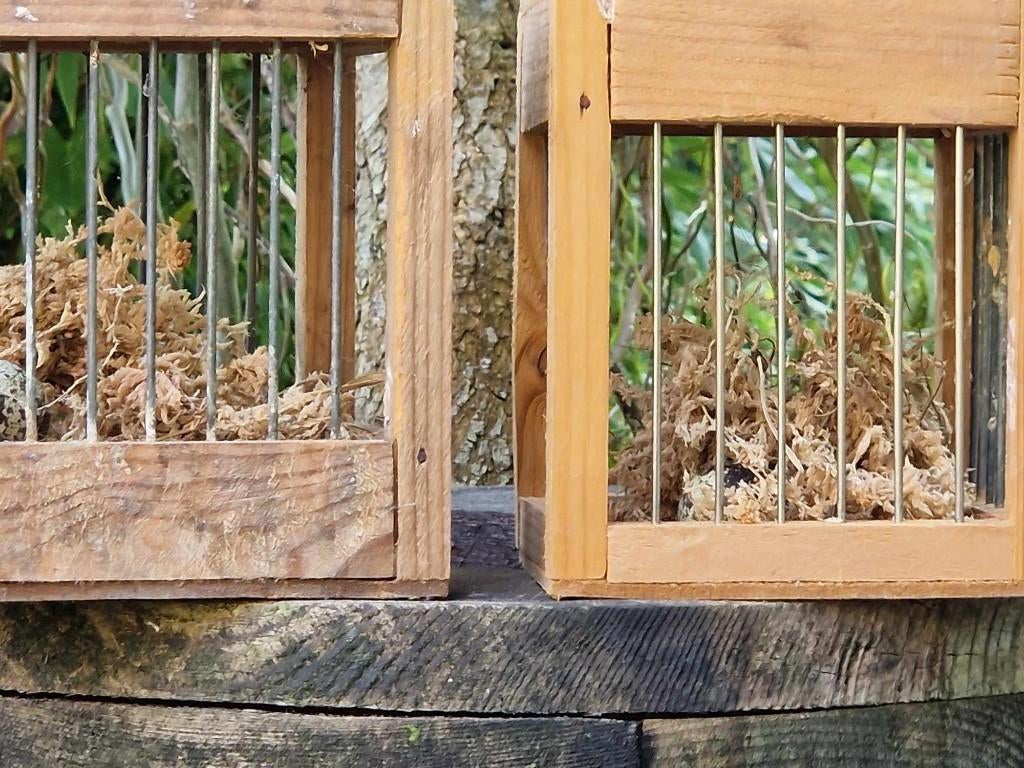 2 super leuke houten vogelkooitjes voor decoratie (brocante), Ophalen of Verzenden, Gebruikt, Hout, Vogelkooi