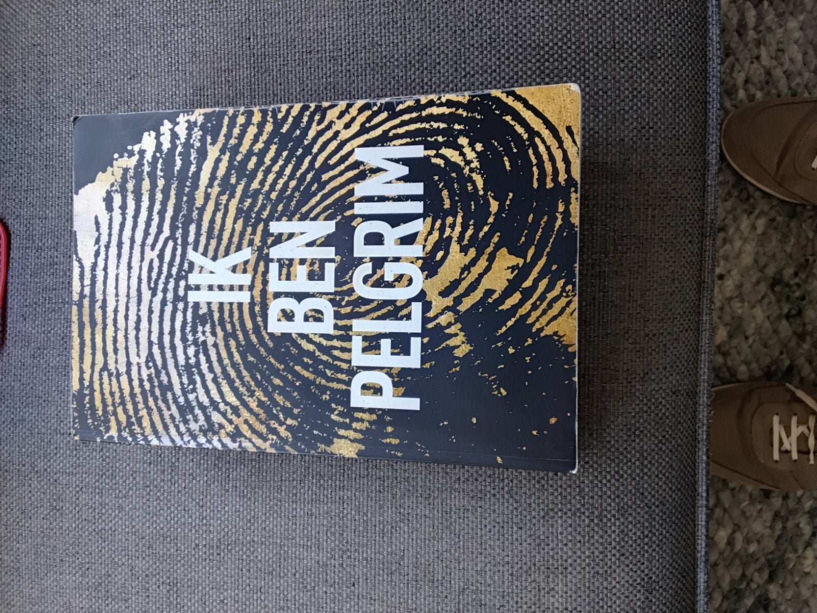 Ik Ben Pelgrim & Het Jaar van de Sprinkhaan, Ophalen of Verzenden, Gelezen, Terry Hayes