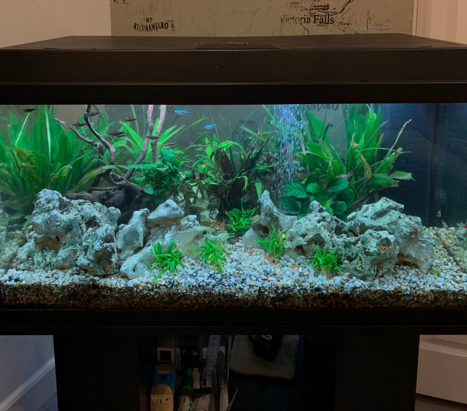 JUWEL Aquarium Primo 110 liter, Dieren en Toebehoren, Gebruikt, Leeg aquarium, Juwel, Ophalen