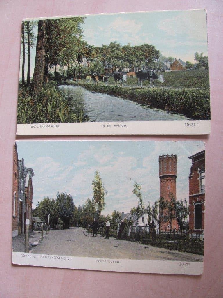 Bodegraven (2x) Watertoren en koeien in bloemrijke weide, Ophalen of Verzenden, Voor 1920, Zuid-Holland