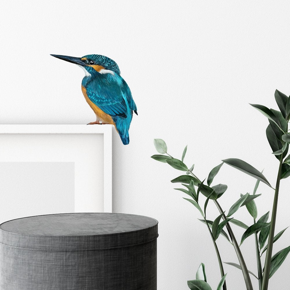 Muursticker ijsvogel, Ophalen of Verzenden, Zo goed als nieuw, Sticker