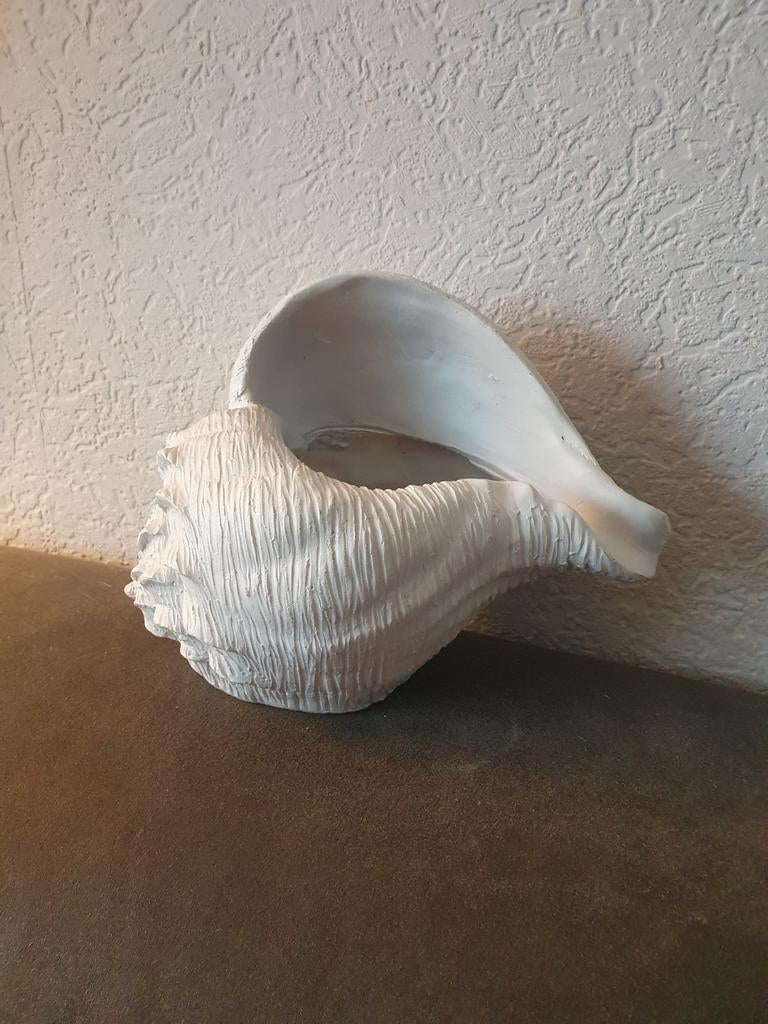 Decoratieve Schelp - Wit, Overige stijlen, Ophalen of Verzenden, Zo goed als nieuw, Wit