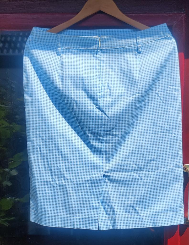 Frank Walder rok maat 38 lichtblauw geblokt, Kleding | Dames, Rokken, Maat 38/40 (M), Blauw, Ophalen of Verzenden, Gedragen