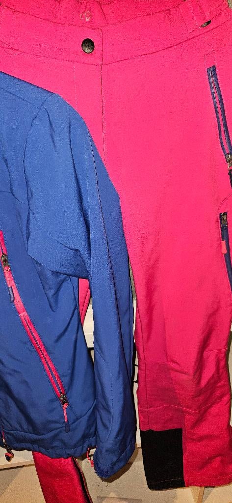 skipak met handschoenen voor maar € 15,00, Kleding | Dames, Wintersportkleding, Ophalen of Verzenden, Gedragen, Maat 38/40 (M)