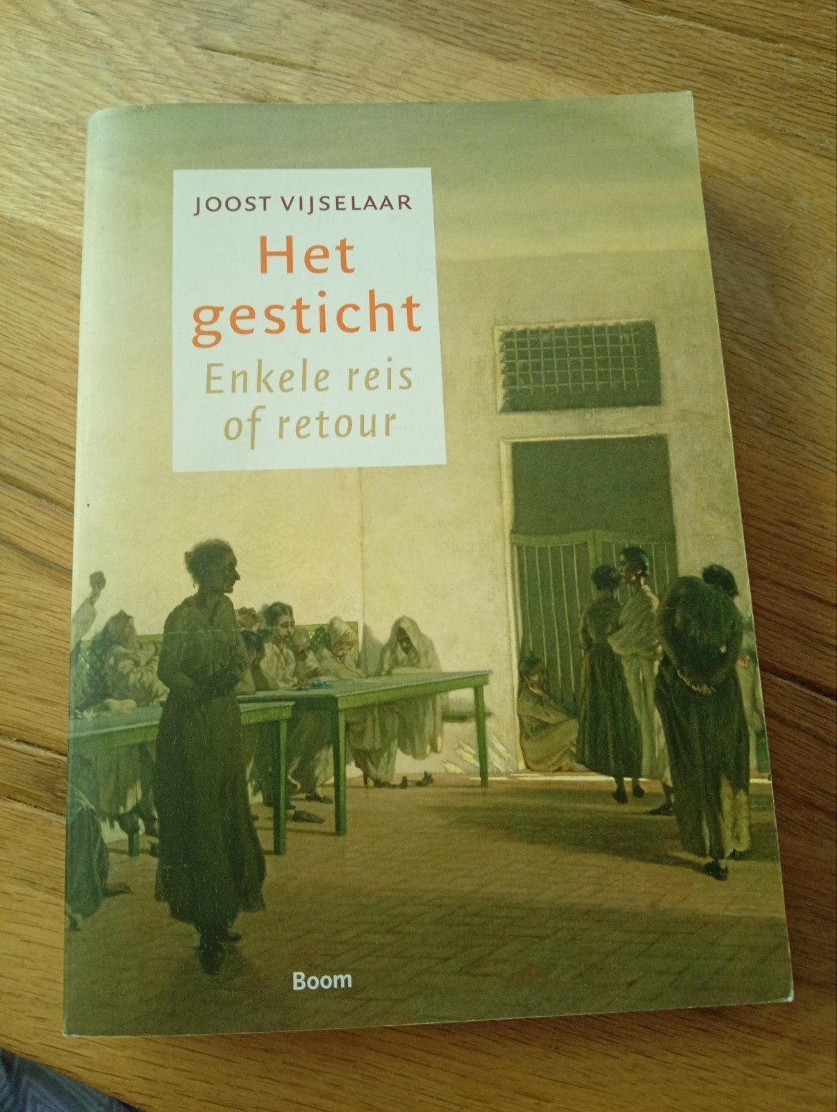 Het gesticht: Enkele reis of retour - Joost Vijselaar, 20e eeuw of later, Ophalen of Verzenden, Joost Vijselaar, Zo goed als nieuw