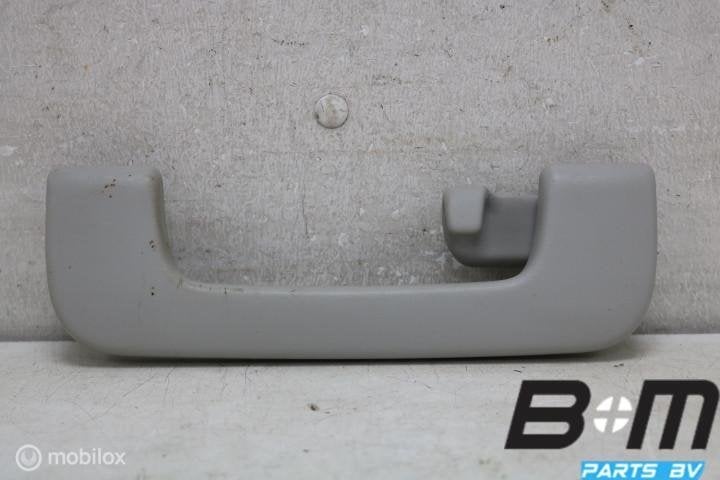 Handgreep in hemel RA Audi A6 4F 8P0857608A, Gebruikt