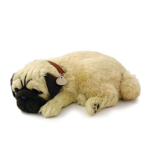 Mopshond Perfect Petzzz ademt 'echt', Kinderen en Baby's, Speelgoed | Knuffels en Pluche, Nieuw, Hond, Interactief, Met doos, Met kleding of accessoire