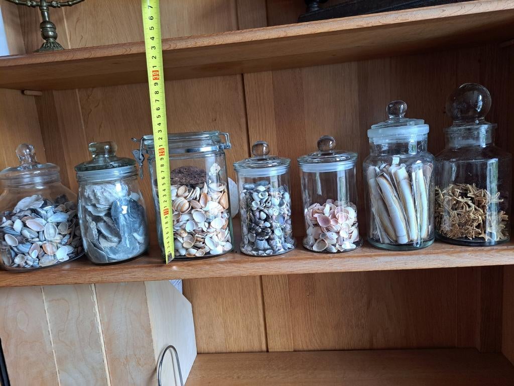 Set van 7 glazen potten met diverse schelpen, Ophalen of Verzenden, Gebruikt