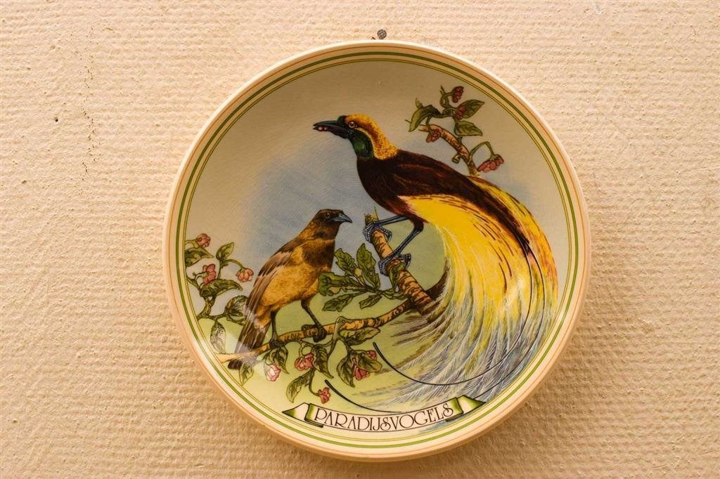 Porseleinen Wandbord met prent van Paradijsvogels 50010, Ophalen of Verzenden, Gebruikt