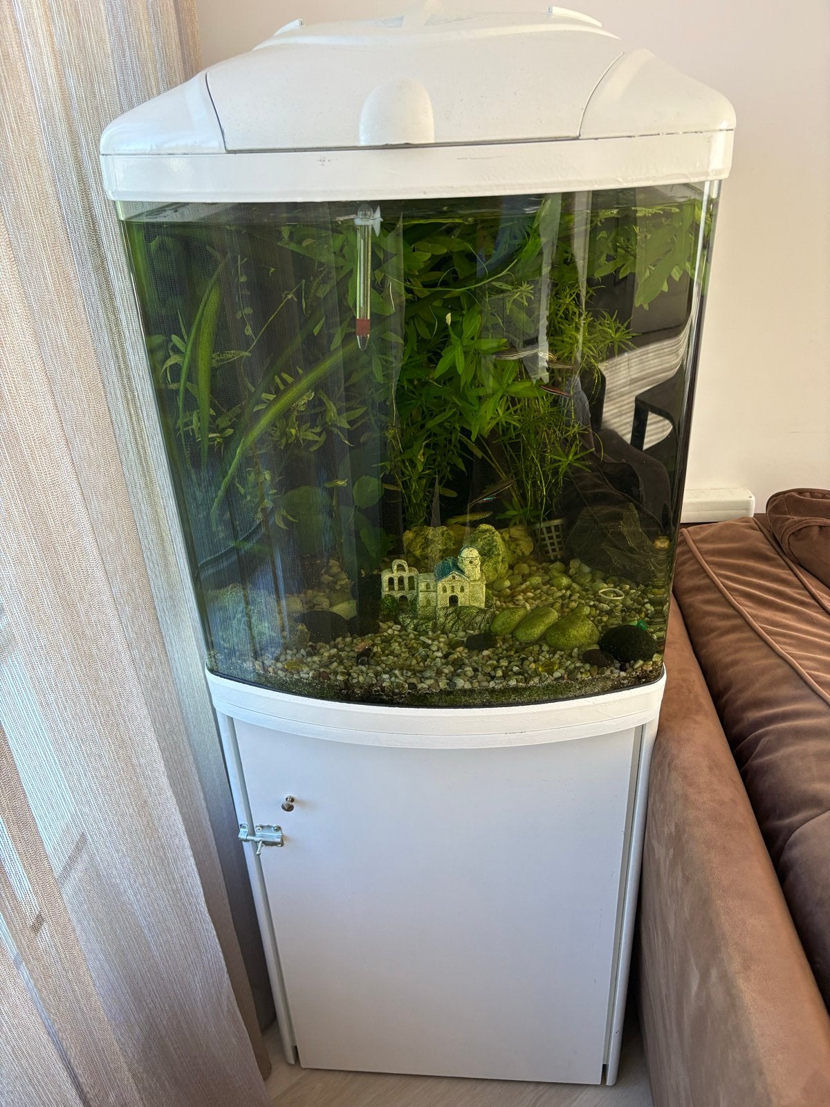Mooi 130L Aquarium met Kast | Inclusief Vissen, Dieren en Toebehoren, Ophalen of Verzenden, Zo goed als nieuw, Gevuld zoetwateraquarium